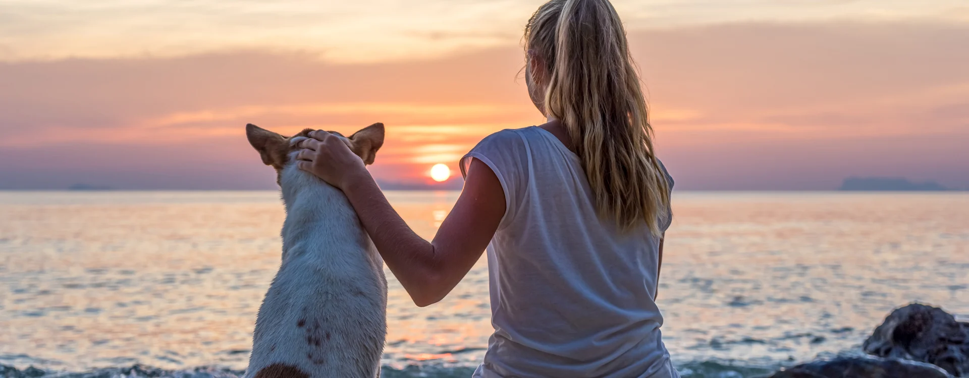Pet-Friendly Vacation Rentals: The Best Options for Your Furry Friends