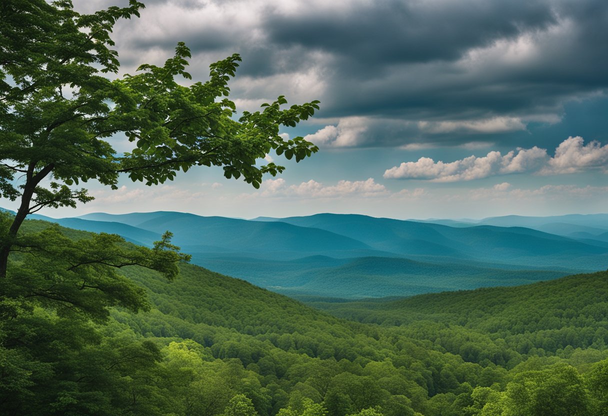 A panoramic view of the Catskills mountain range from a high vantage point, with lush green forests and winding trails leading into the distance